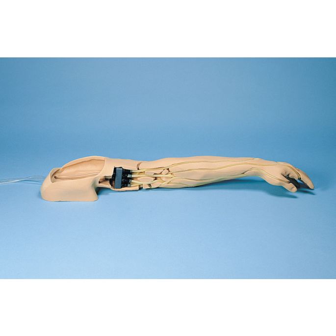 Trainingsarm voor intraveneuze injectie - afbeelding 2
