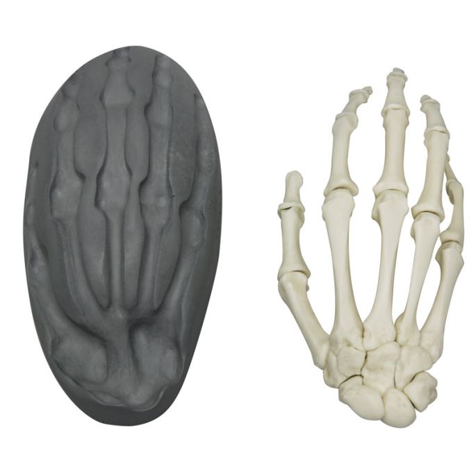 Magnetische hand
