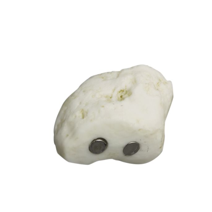 Menselijke magnetische voet, rechts