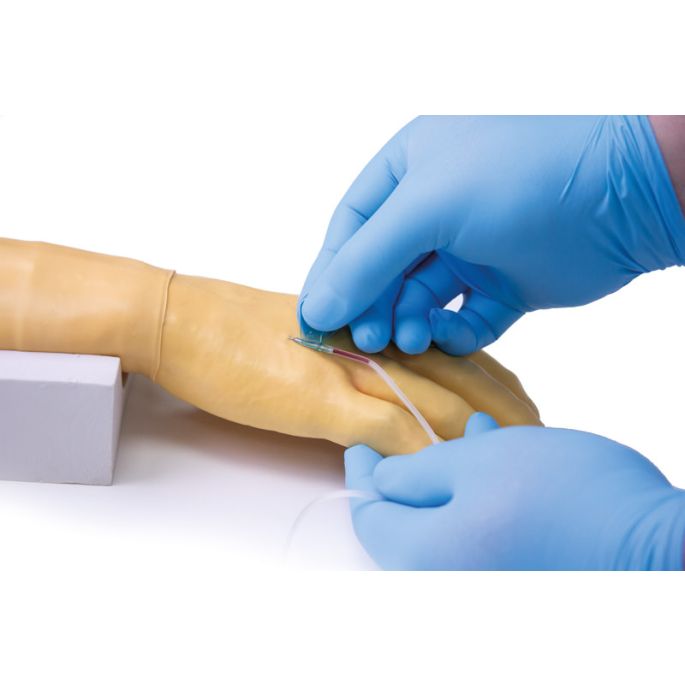 Trainingsarm voor intraveneuze injectie en infusie