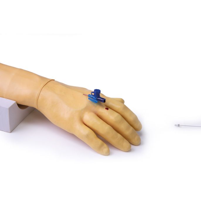 Trainingsarm voor intraveneuze injectie en infusie