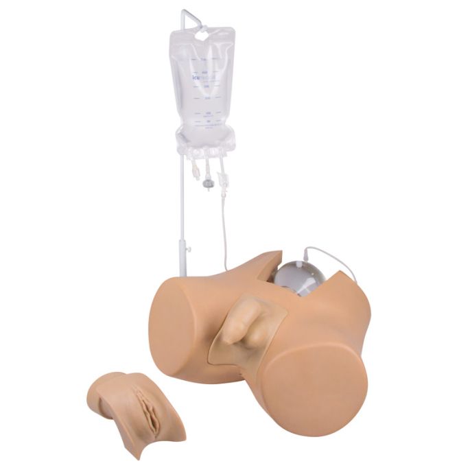 Katheterisatietrainer met inzetstukken (m+v)