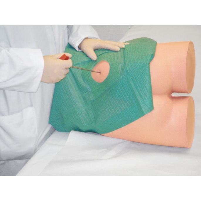 Simulator voor im-injectie/punchbiopsie van de iliacale top