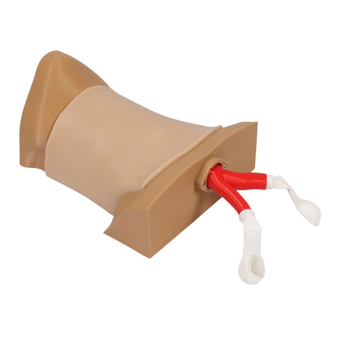 Cricothyrotomie-trainer 