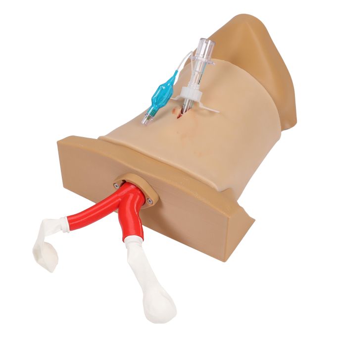 Crico Chris - Cricothyrotomie-taaktrainer