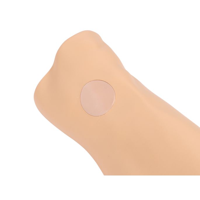 Louis Leg intraossale toegangstrainer