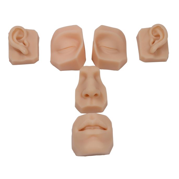 Gezichtsonderdelen voor hechttraining (6 stuks)