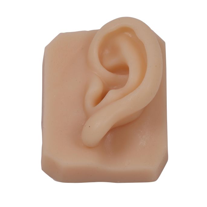Gezichtsonderdelen voor hechttraining (6 stuks)