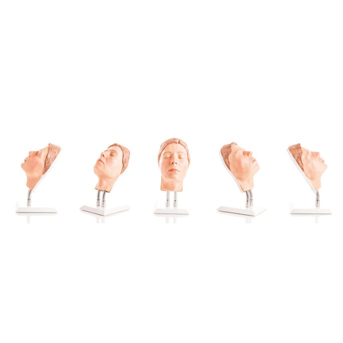 Hoofd voor gezichtsinjecties, versie E