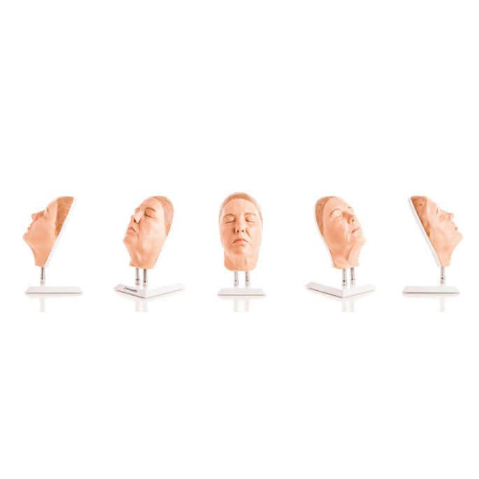 Hoofd voor gezichtsinjecties, versie G