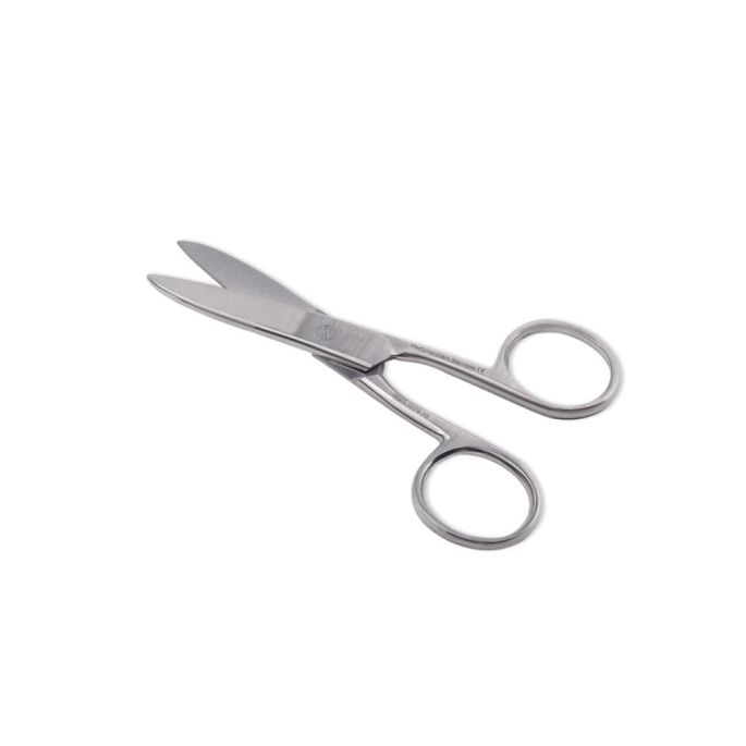 Nagelschaar 10 cm recht RVS