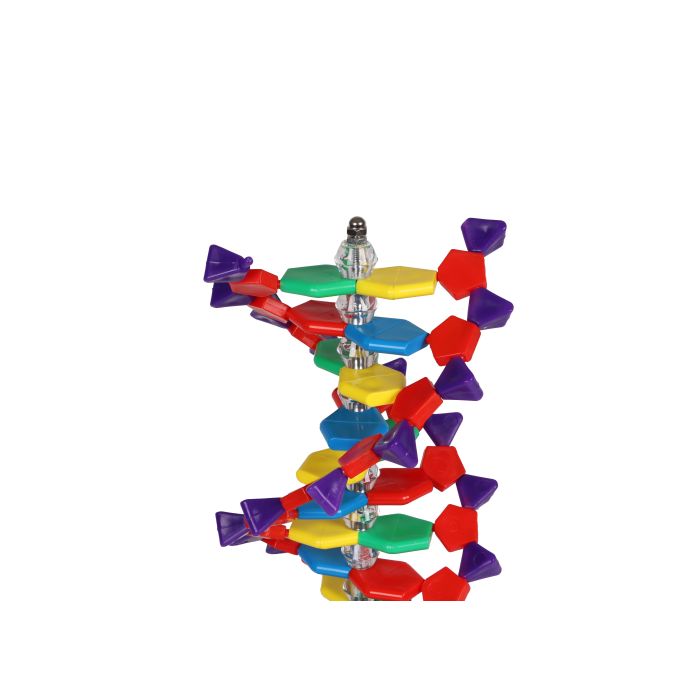 Dubbele DNA-helix