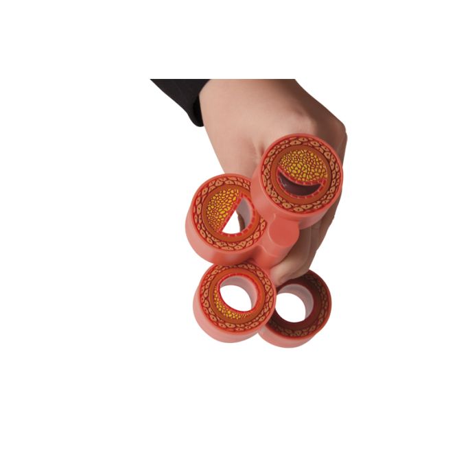 Arteriosclerosemodel, 4 secties