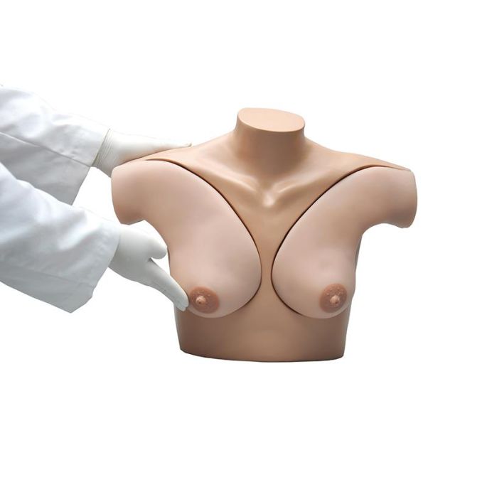 Borstzelfonderzoeksimulator
