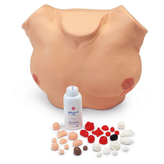 Geavanceerde borstonderzoeksimulator