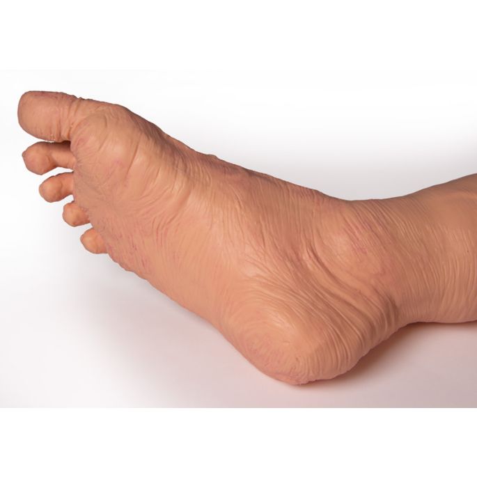 TERI Trainer androgyne geriatrische patiëntenvaardigheden