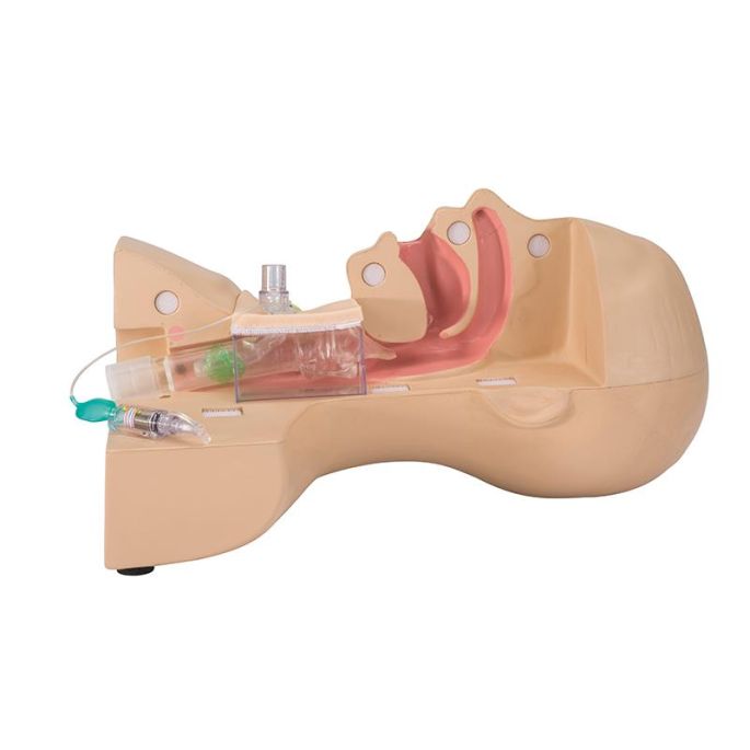 Simulator voor tracheostomiebeheer
