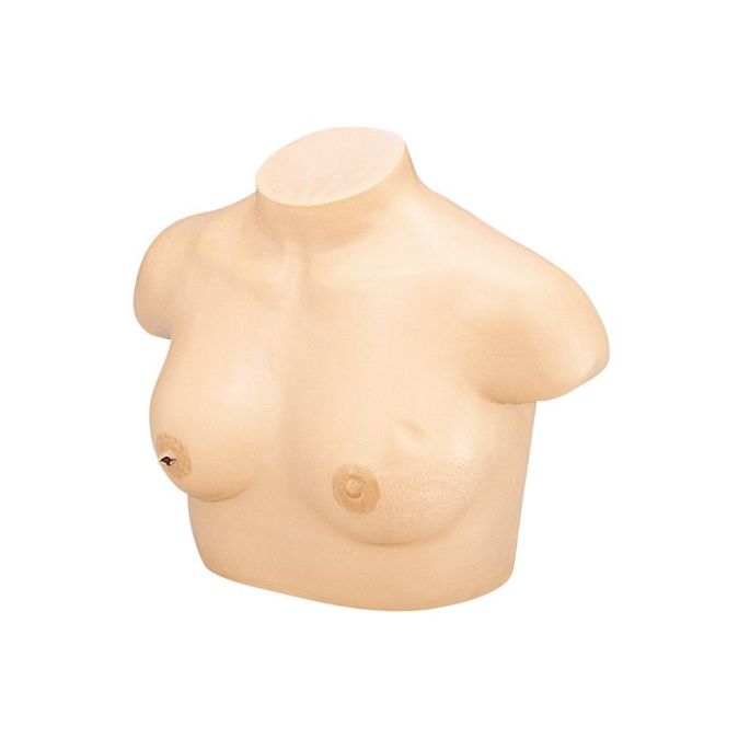 Palpatiemodel voor borstkanker (V3)