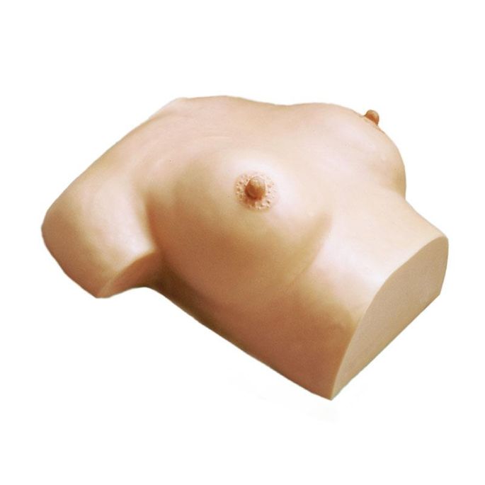 Borstverzorgings- en massagemodel