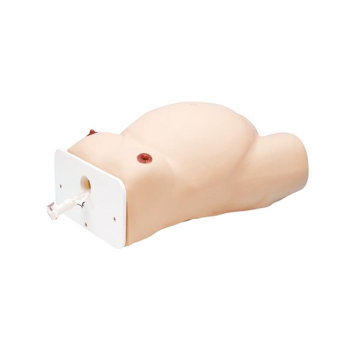 Extern Cephalic-versiemodel