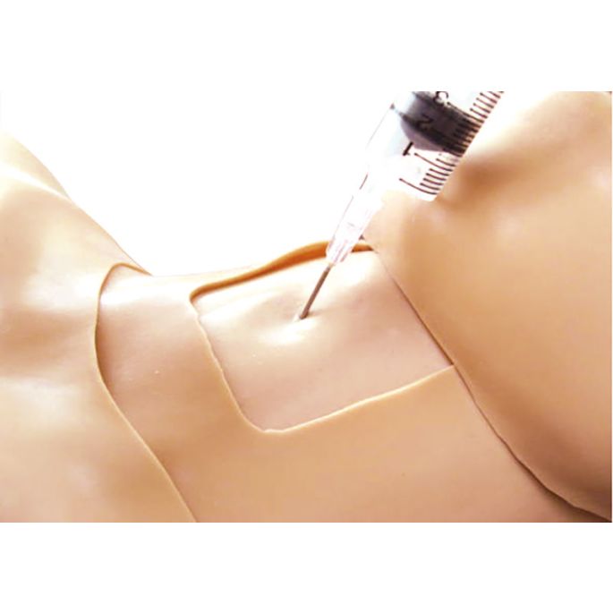Trainer voor thoraxtrauma's