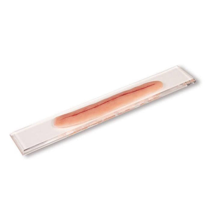Operatiewond, zonder hechting, 22 cm
