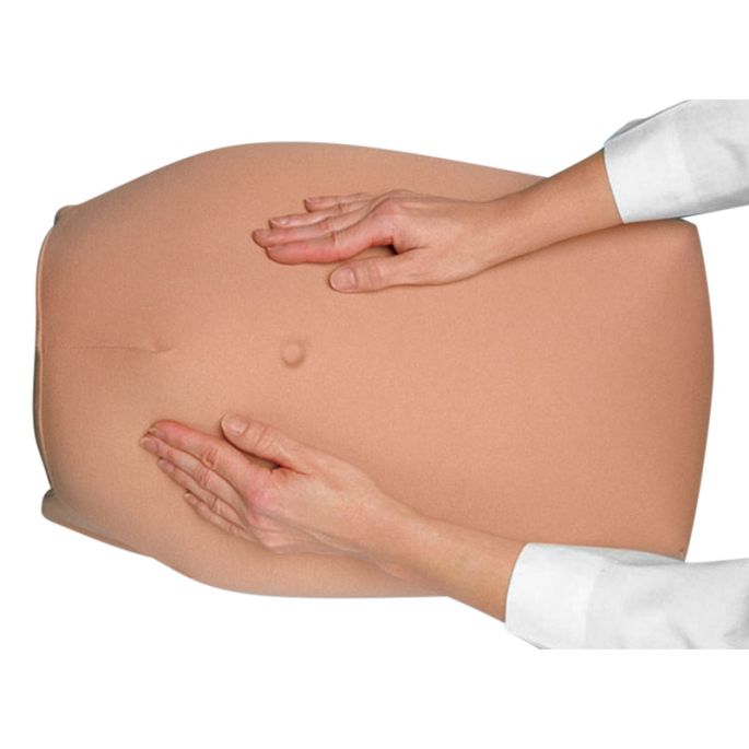 Abdominale Palpatie Modelset