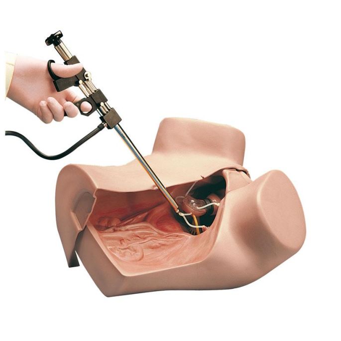 Gynaecologische simulator