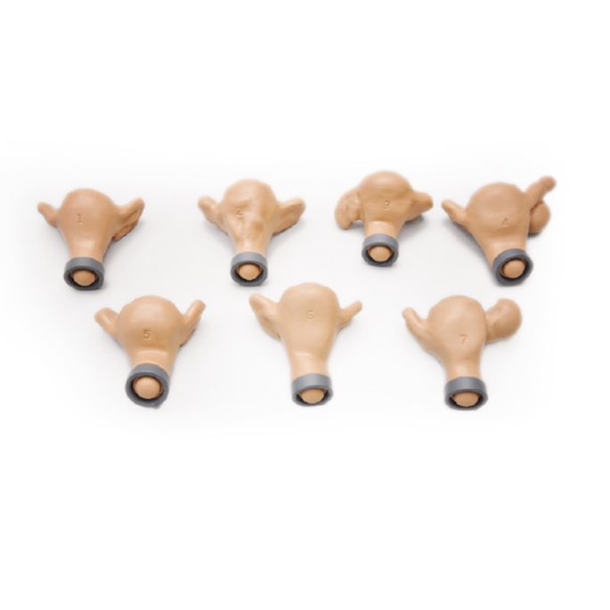 GYN/AID Gynaecologische simulator