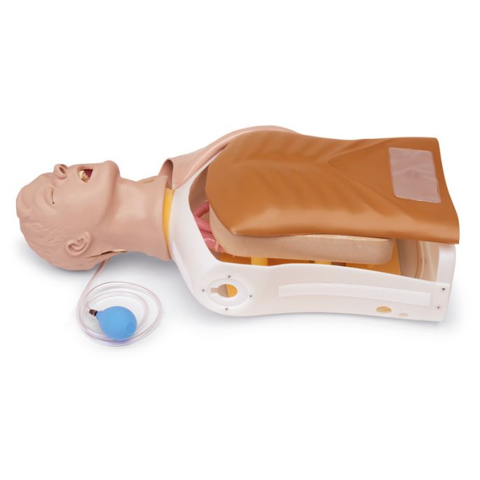 Geavanceerde 'Airway Larry' Airway Management Trainer Torso