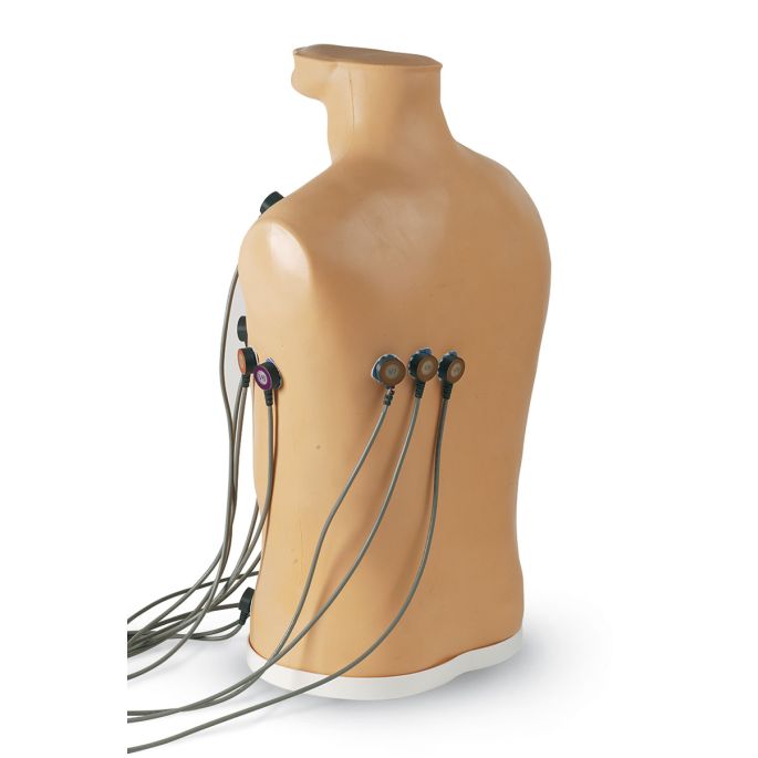 15-kanaals ECG-plaatsingstrainer
