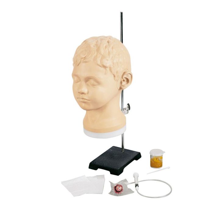 Diagnostische en procedurele oortrainer