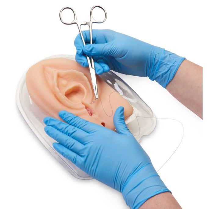 Trainer voor episiotomie en perineale laceratie
