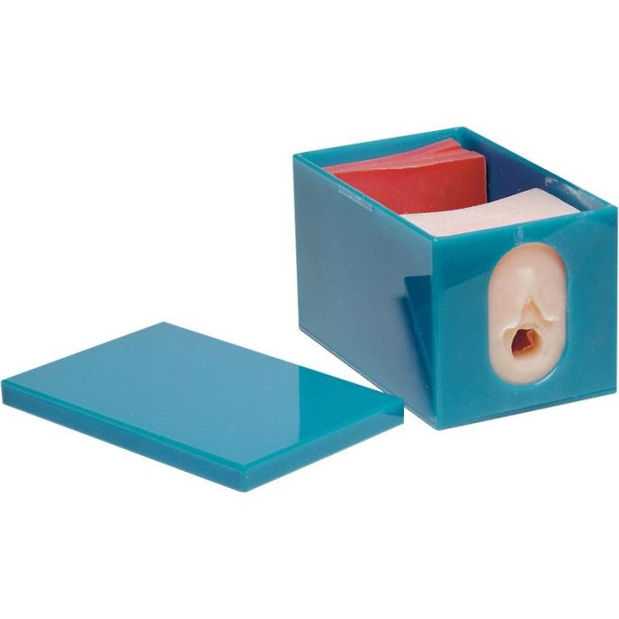 Modelset voor foetale monitoring en bevallingsvoortgang