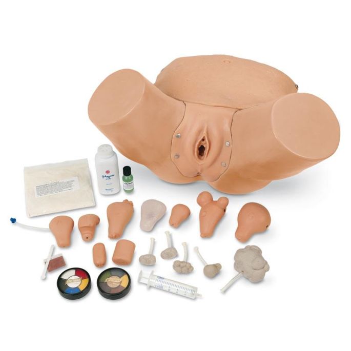 Geavanceerd bekkenonderzoek en gynaecologische simulator