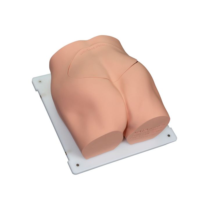 Bonnie beenmergbiopsievaardigheidstrainer