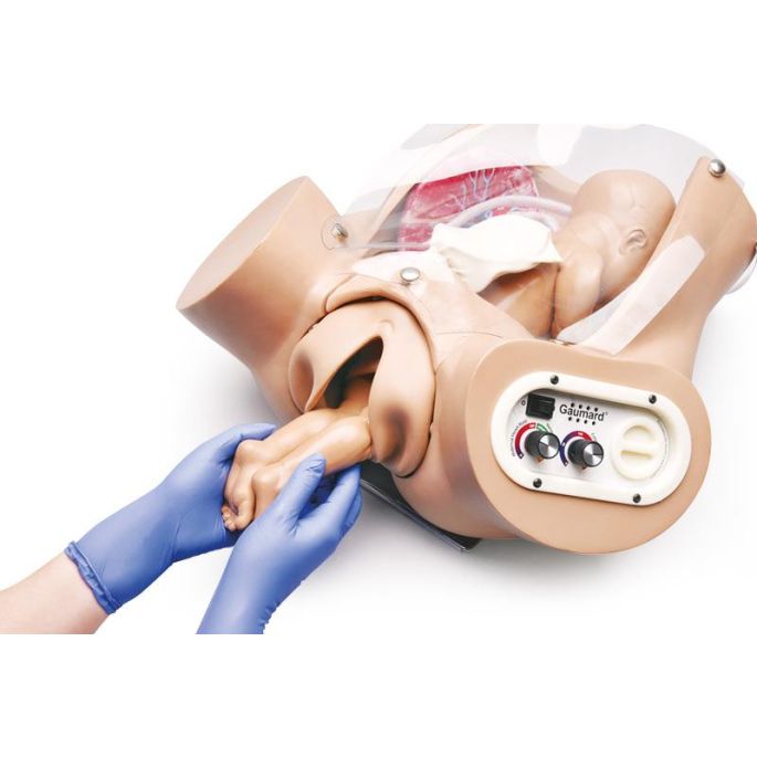 Geavanceerde geboortetorso