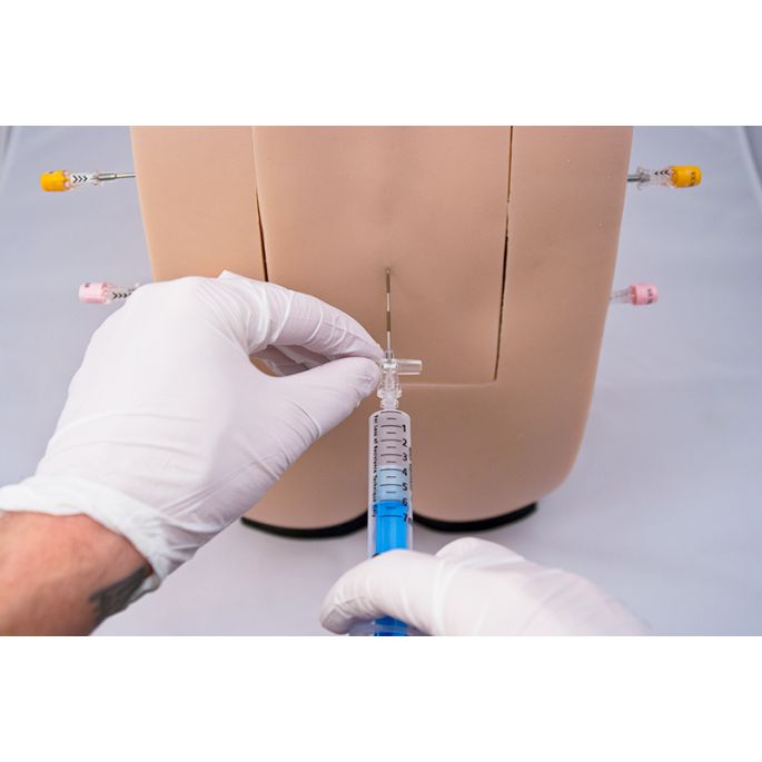Epiduraal-spinale injectiesimulator GENESIS