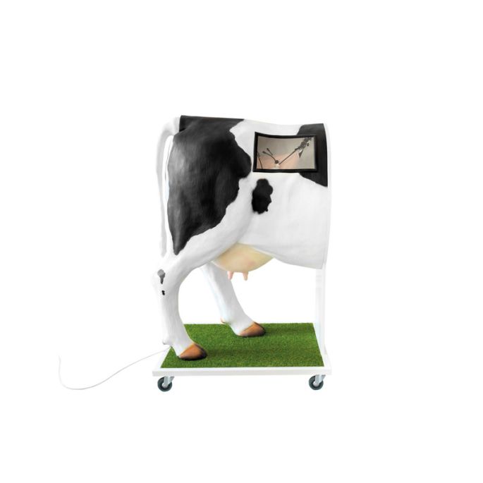 Geavanceerde simulator voor kunstmatige inseminatie (AI) koe