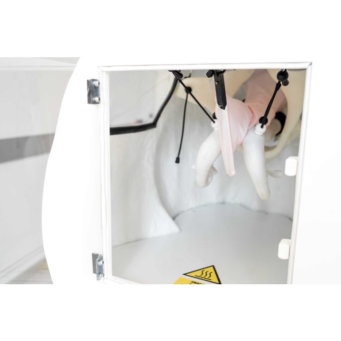 Geavanceerde simulator voor kunstmatige inseminatie (AI) koe