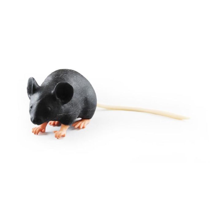 Mimicky muis