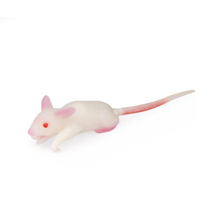 Simulatiemodel muis