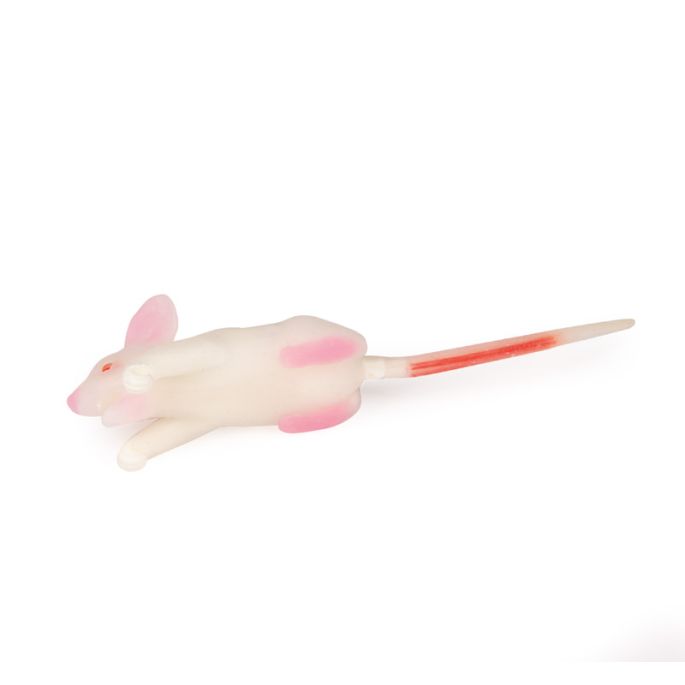 Simulatiemodel muis
