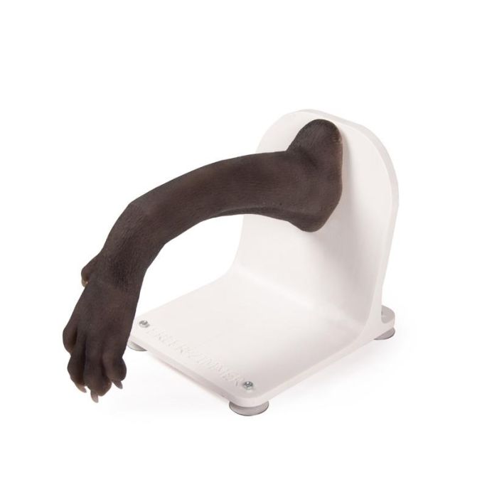 Verbandtrainer hondenpoot
