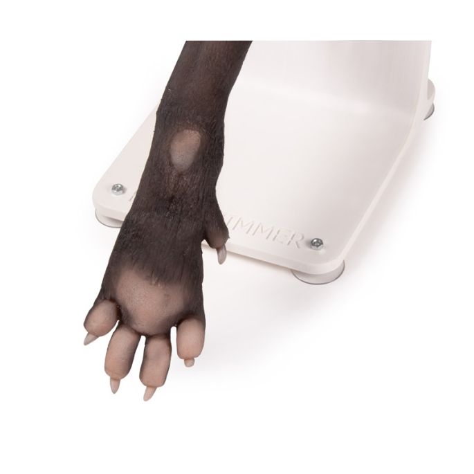 Verbandtrainer hondenpoot