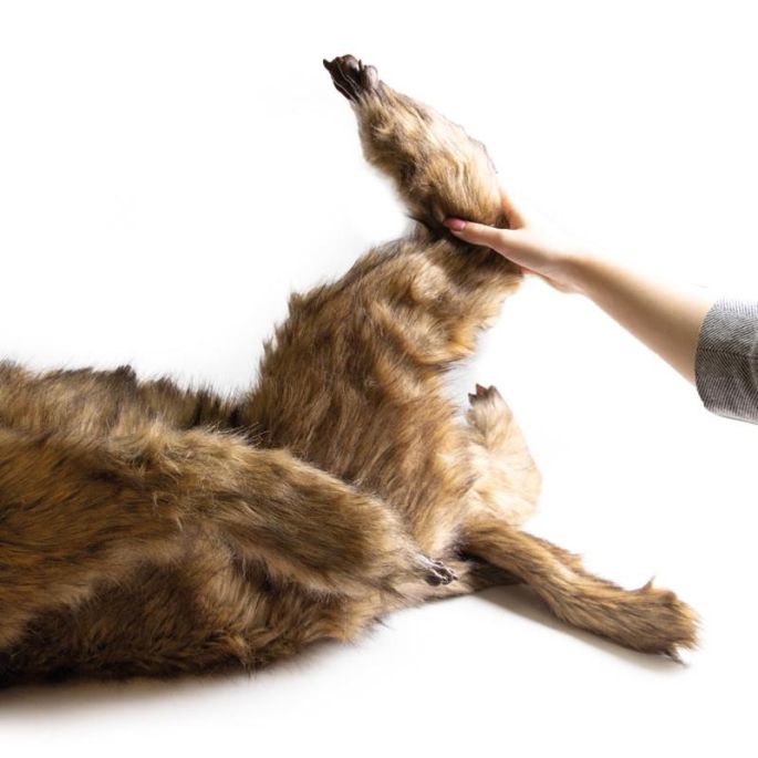 Rocky' positioneringspop voor honden