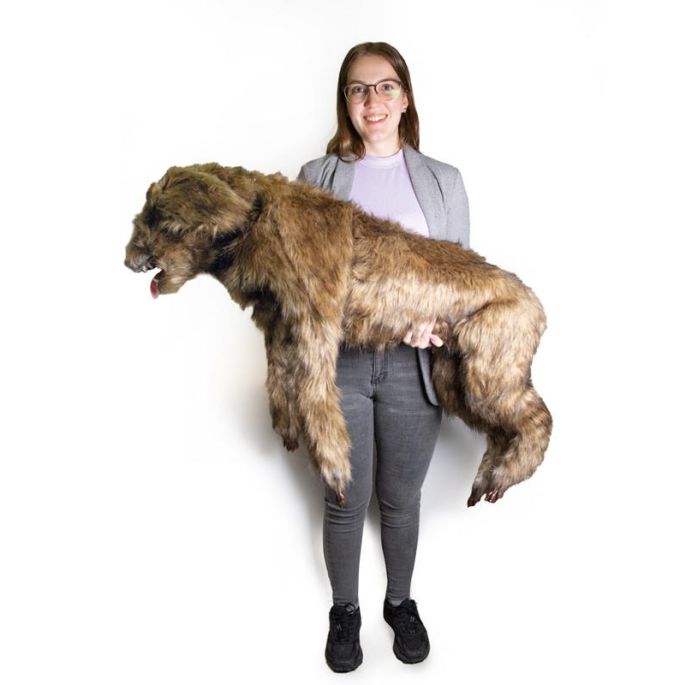 Rocky' positioneringspop voor honden