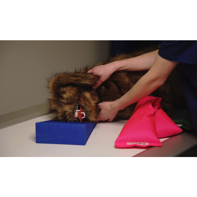 Rocky' positioneringspop voor honden
