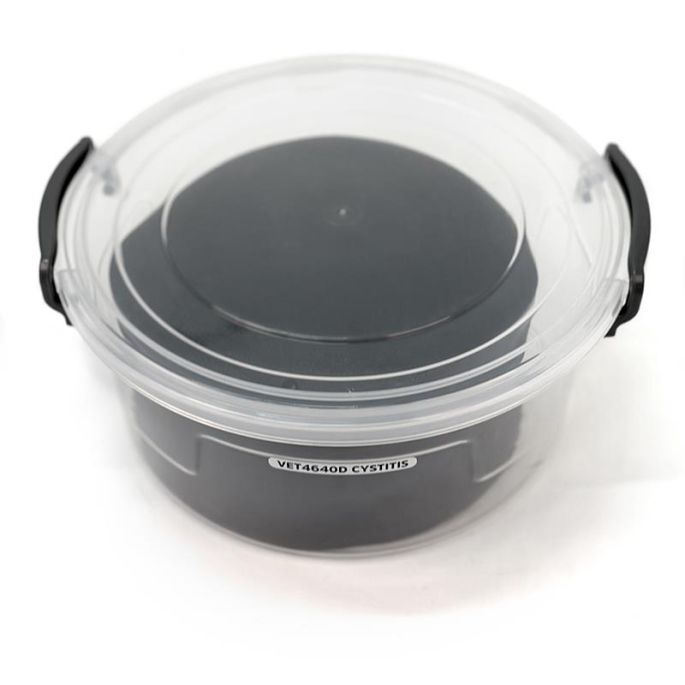 Echografie trainer hondenblaas