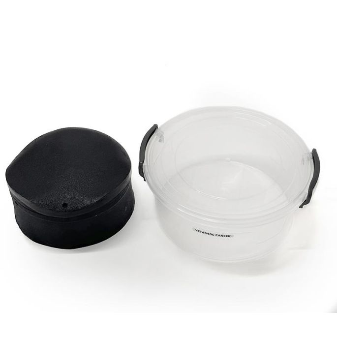 Echografie trainer hondenblaas